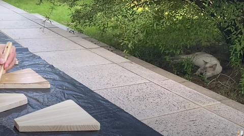 庭でくつろぐ猫