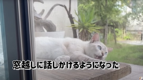 窓越しに話しかけるよう投稿主