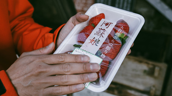  【PR】熊本県　阿蘇 KUMA-ATSU　PROJECT