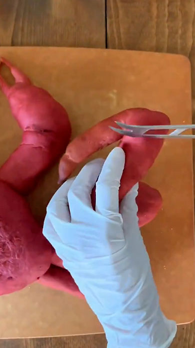 リアルなかにぱん・脚に切り込みを入れるところ