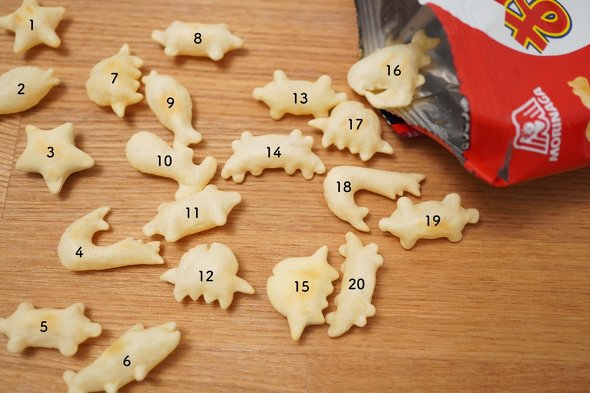 おっとっと　キボリノコンノ　木彫りを探せクイズ