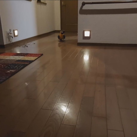 バロンくんの方を気にするジーナちゃん