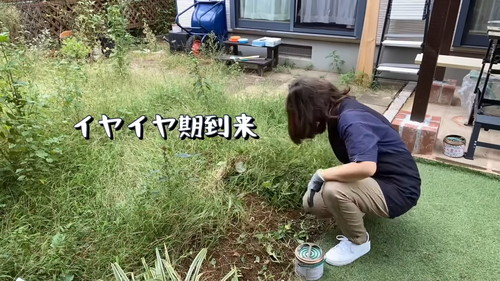イヤイヤ期到来中のあめのみなさん