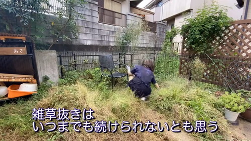 ひたすら雑草を抜いていくあめのみなさん