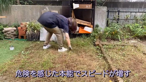 ヒルを見てスピードアップ