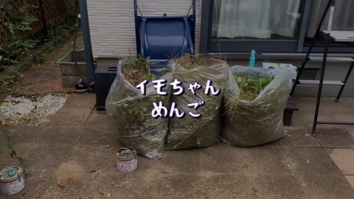 1日目の作業終了