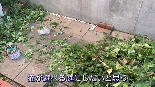 猫が遊べるように