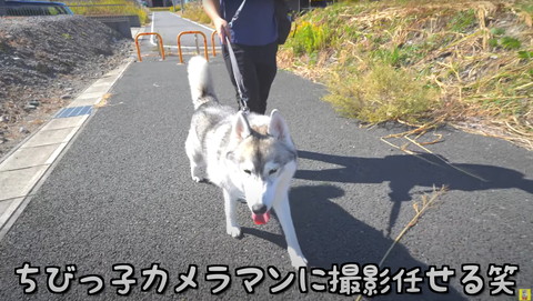 ちびっこカメラマンが撮影