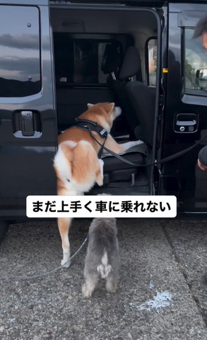 まだ上手く車に乗れない