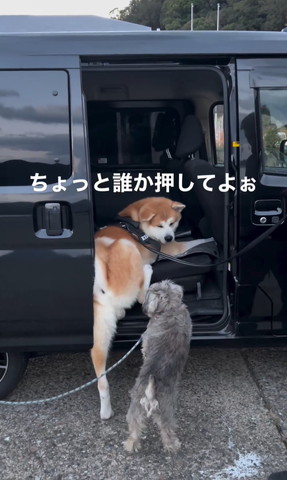 ちょっと誰か押して