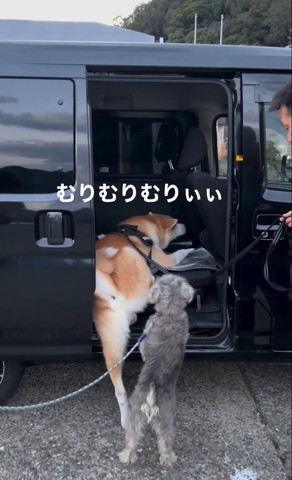 むりむりむりぃぃ