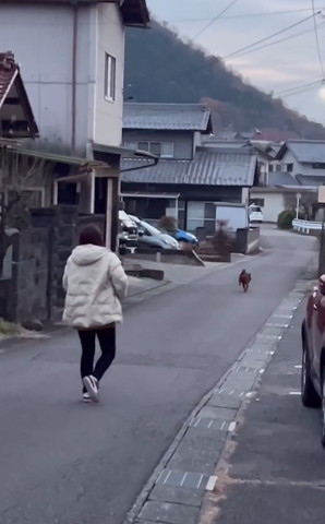 ワンコに近づく女性