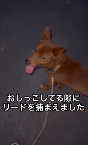 おしっこしてる隙に