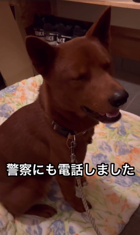 警察にも電話しました