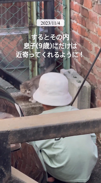 息子と子猫