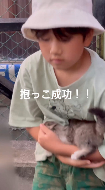 子猫を抱っこ成功
