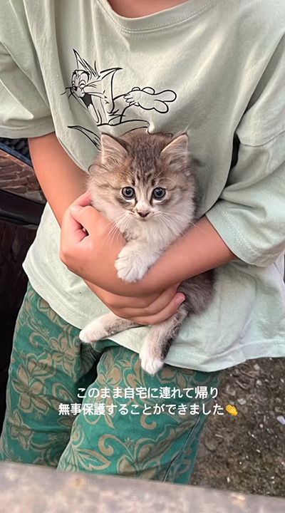息子が子猫を抱っこ