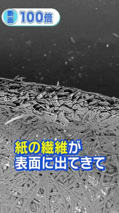 紙で手が切れる 理由 電子顕微鏡 観察 繊維 ギザギザ ノコギリ