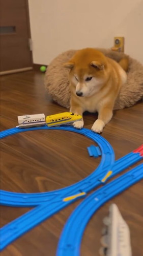 おもちゃの新幹線が衝突しても動かない