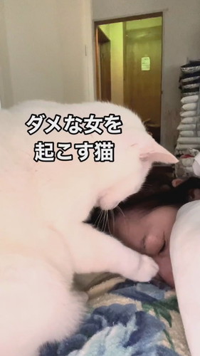 福田さんを優しく起こすシロちゃん