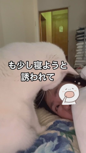 福田さんが目を上げてシロちゃんと見つめ合い