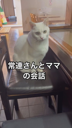 福田さんと会話するシロちゃん