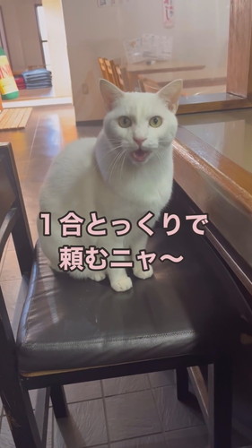 福田さんと会話するシロちゃん