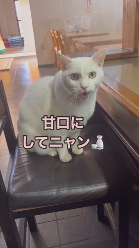 福田さんと会話するシロちゃん