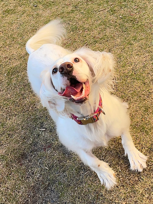 キラキラ美少女麦ちゃん