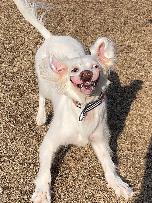 おめめが落ちそう