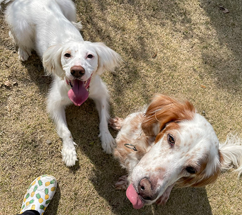 麦ちゃんとモネくん