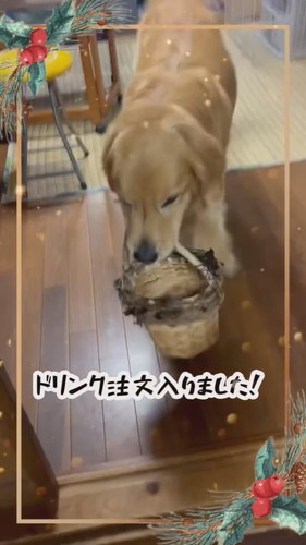 お父さんの元へ行くホットくん