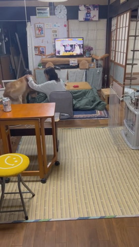 お母さんのもとへ届けるホットくん