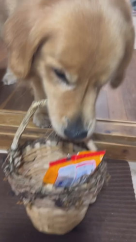 おつまみの入ったかごをくわえるホットくん