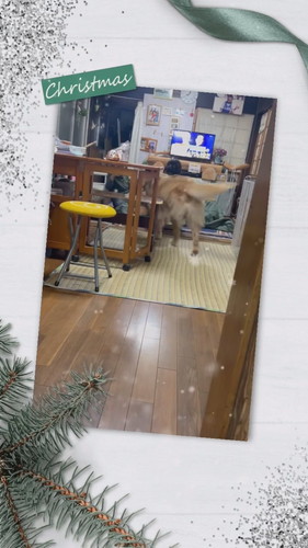 しっぽを振って持っていくホットくん