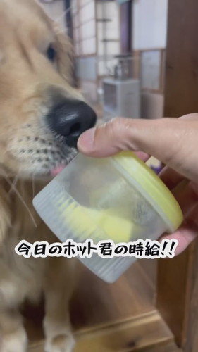 報酬のサツマイモが入ったカップをもらうホットくん