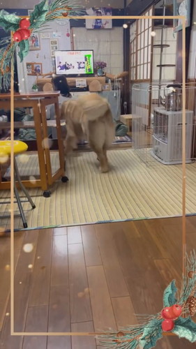 サツマイモを持ってお母さんのところへ