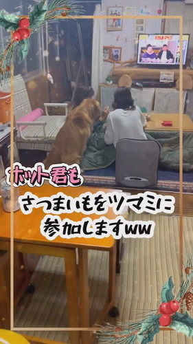 一緒に参加するホットくん