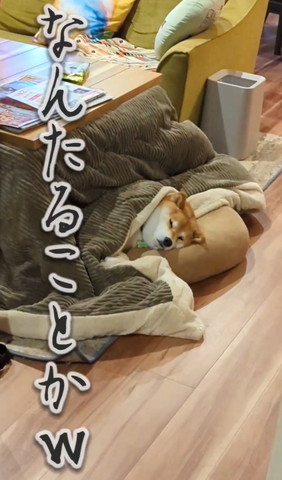 なんたることか