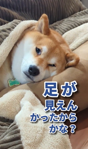 足が見えんかったからかな