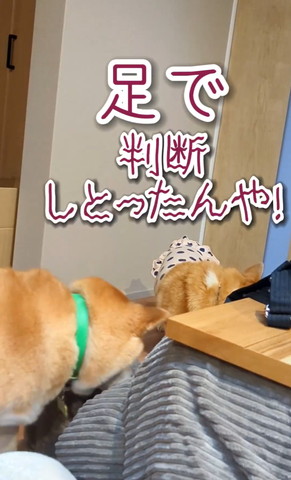 足で判断しとったんや