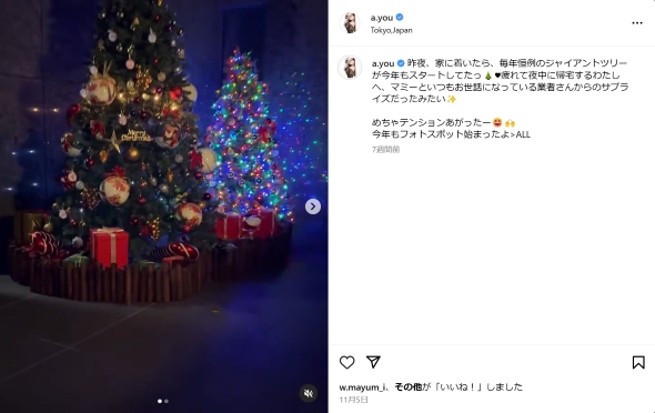 浜崎あゆみの自宅のクリスマスツリー