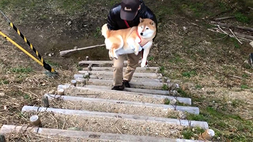 左を見るアンちゃん