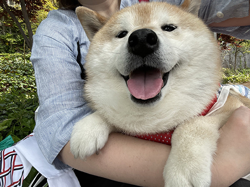 アンちゃんお顔アップ