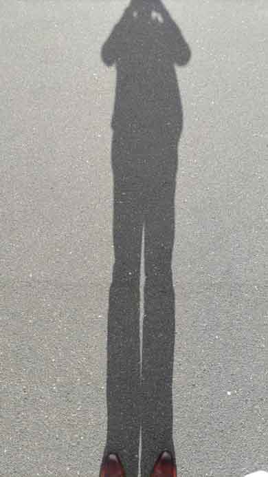 夏至 冬至 影 長さ 比較 正午