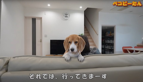 それでは行ってきまーす