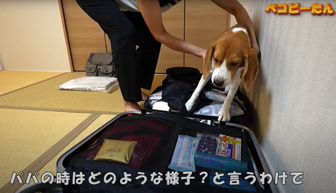 パパの時はどのような様子