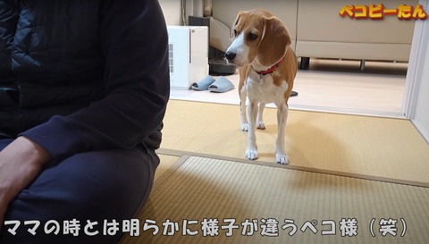 ママの時とは明らかに様子が違う