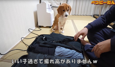 いい子すぎて撮れ高がありません