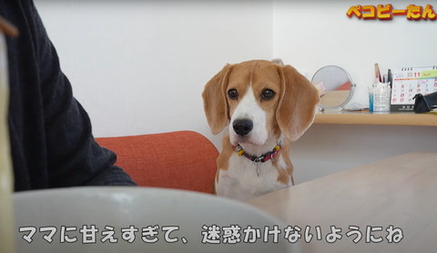 ママに甘えすぎて迷惑かけないようにね